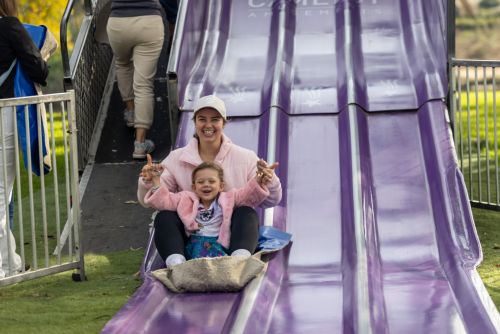 A picture of a mother and child sliding down the giant slide