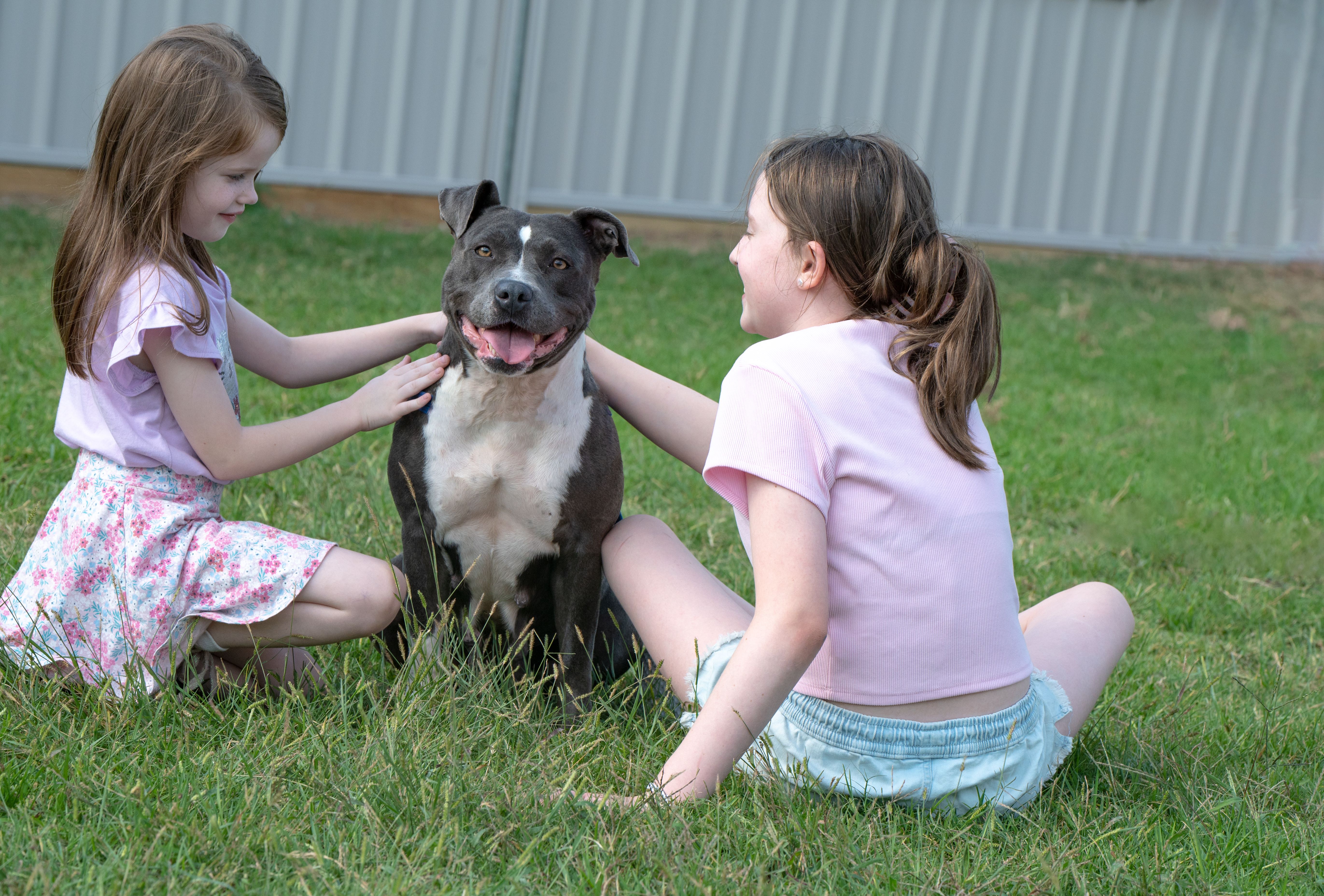 Two children pat a dog