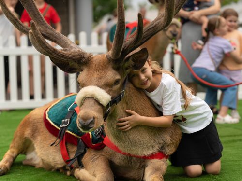 A picture of a girl hugging a reindeer