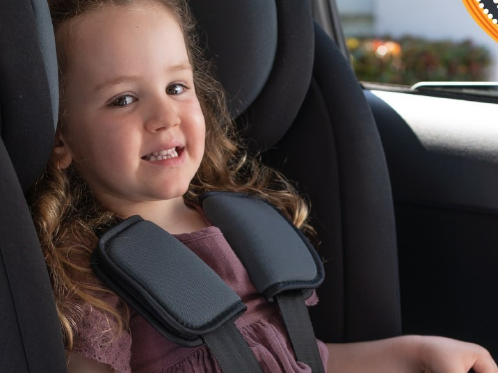 Free Child Safety Seat check web